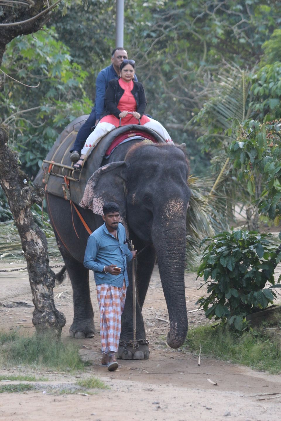 Photo of Thekkady, Kerala, India by Shraddha Rajput