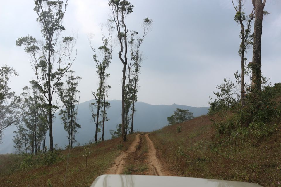 Photo of Thekkady, Kerala, India by Shraddha Rajput