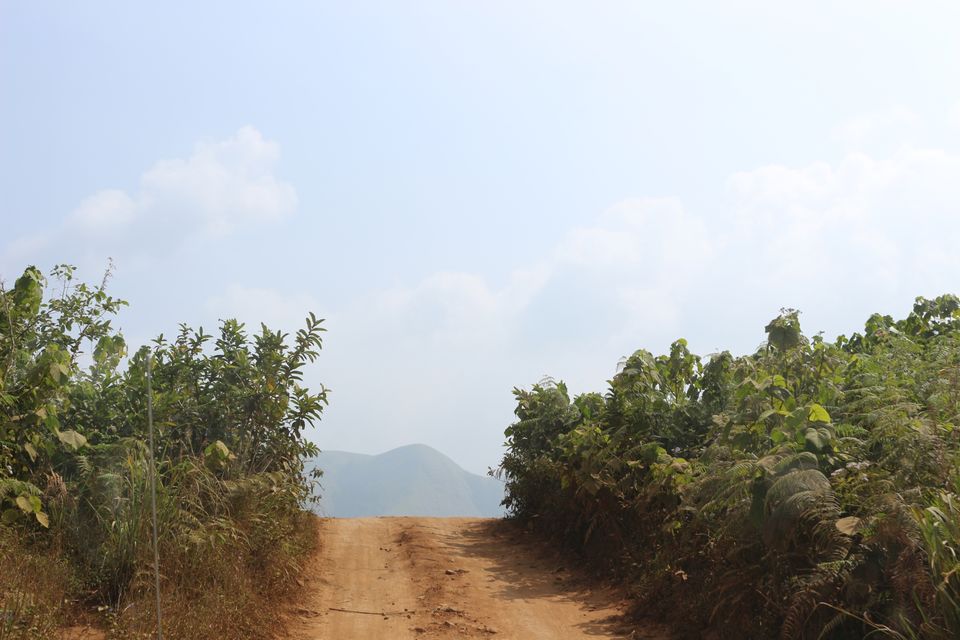 Photo of Thekkady, Kerala, India by Shraddha Rajput