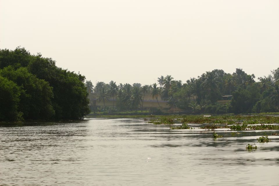 Photo of Cochin, Kerala, India by Shraddha Rajput