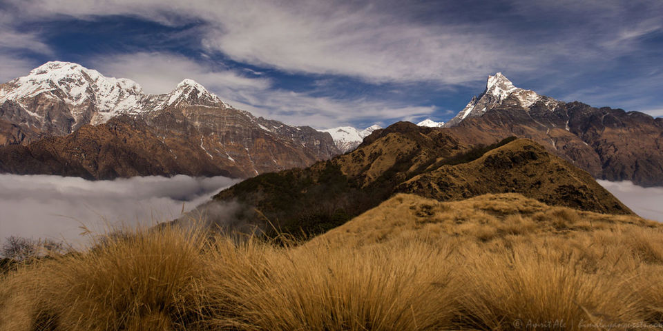 Photo of Mardi Himal Trek 4/4 by Adventure Master