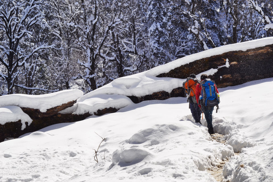 Photo of Hike to kedarkantha top - Winter trek #2017 by Vikas Vashisht