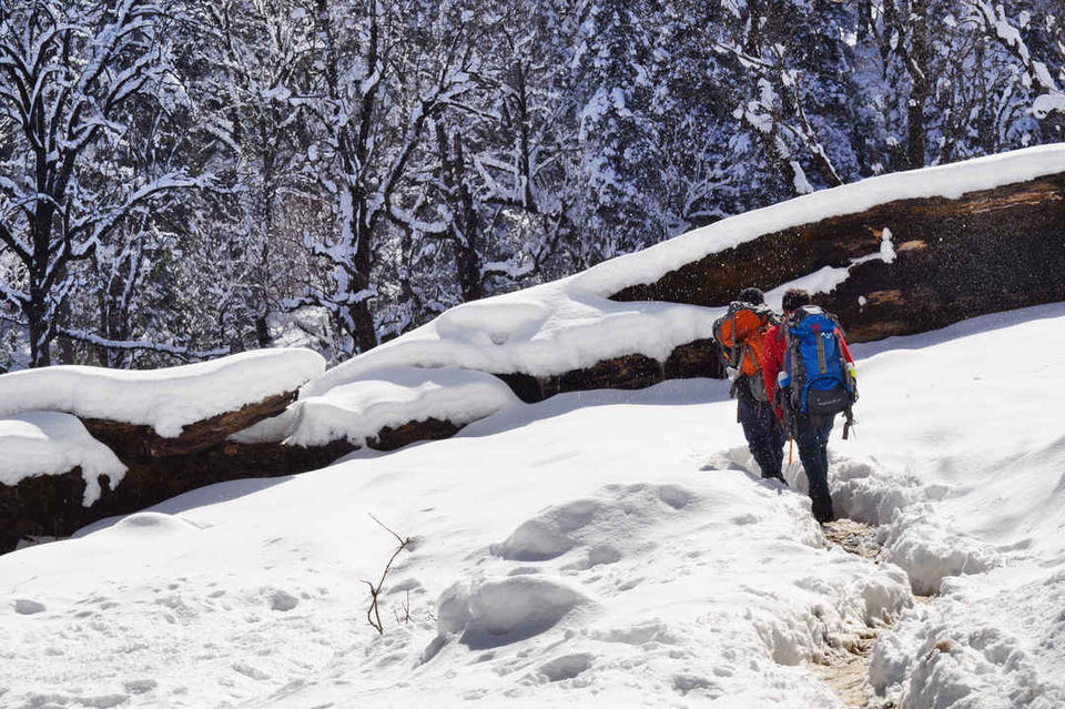 Photo of Kedarkantha Peak, Singtur Range, Uttarakhand, India by Vikas Vashisht