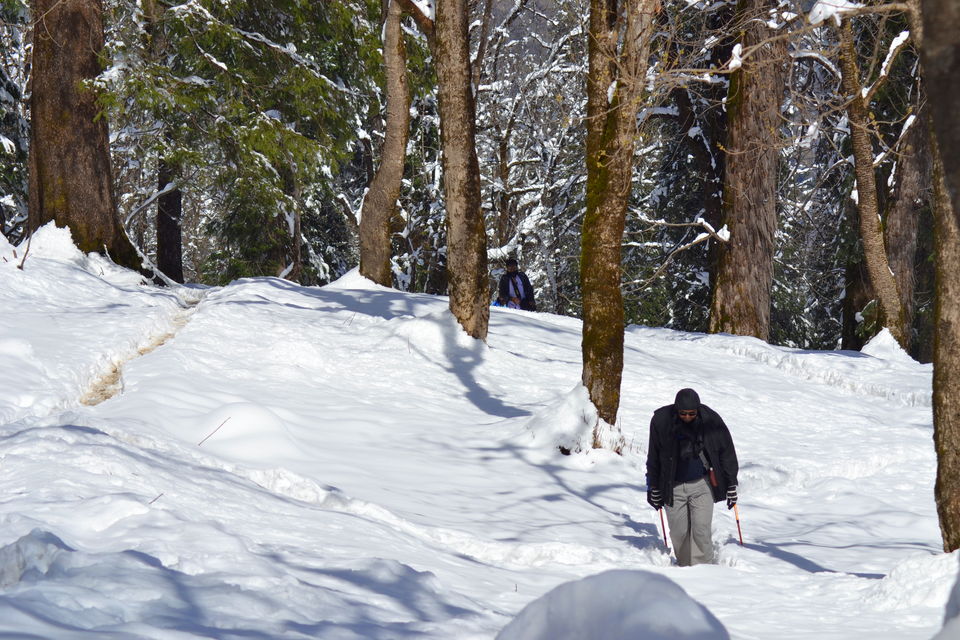 Photo of Hike to kedarkantha top - Winter trek #2017 by Vikas Vashisht