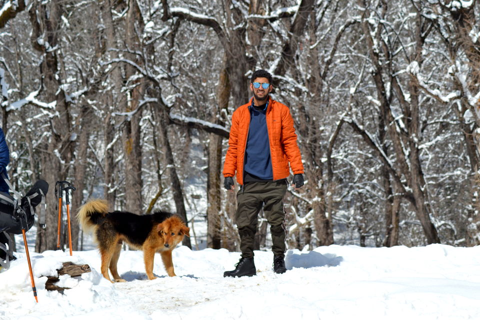 Photo of Hike to kedarkantha top - Winter trek #2017 by Vikas Vashisht
