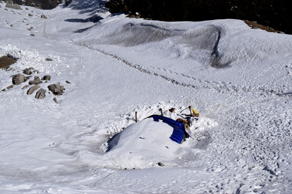 Photo of Winter Hike to Triund Top & Snow Lines by Vikas Vashisht
