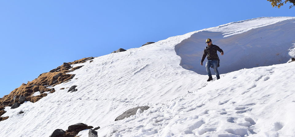Photo of Winter Hike to Triund Top & Snow Lines by Vikas Vashisht