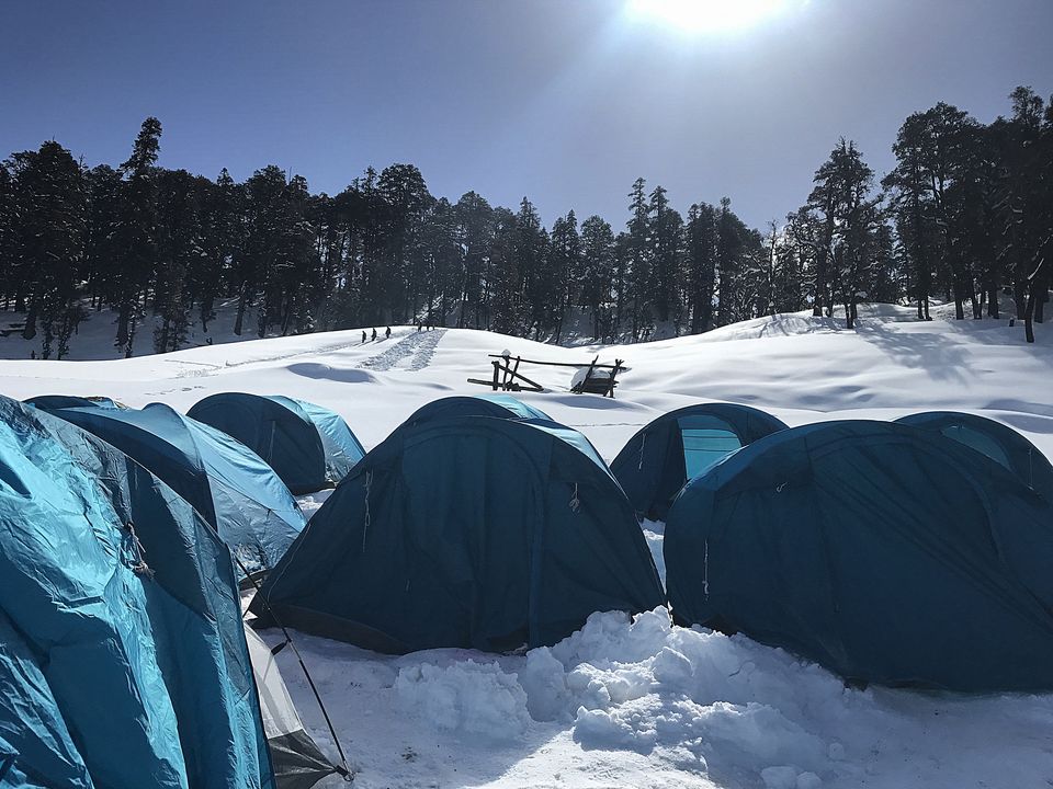 Photo of Hike to kedarkantha top - Winter trek #2017 by Vikas Vashisht