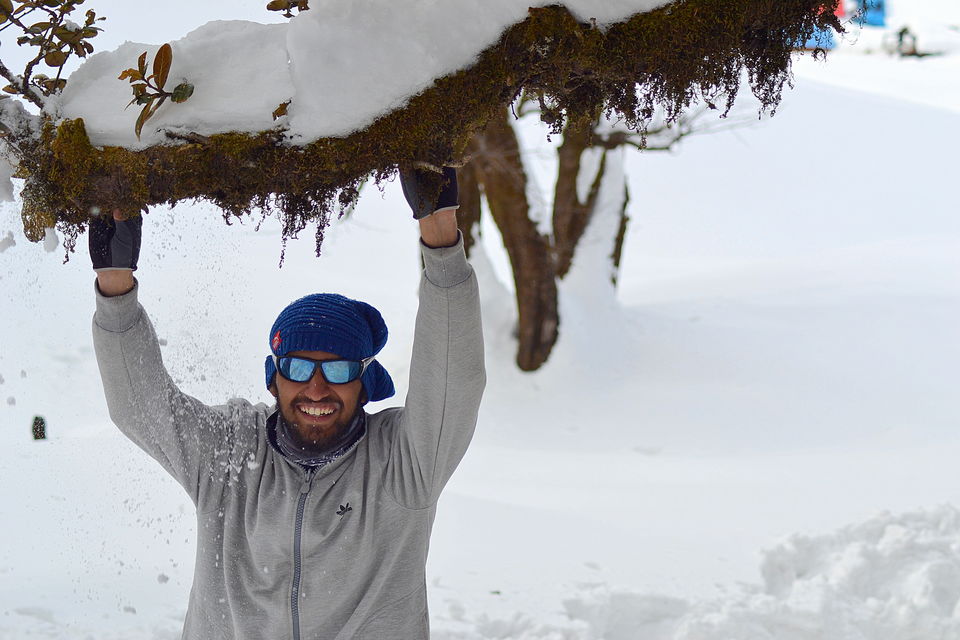 Photo of Hike to kedarkantha top - Winter trek #2017 by Vikas Vashisht