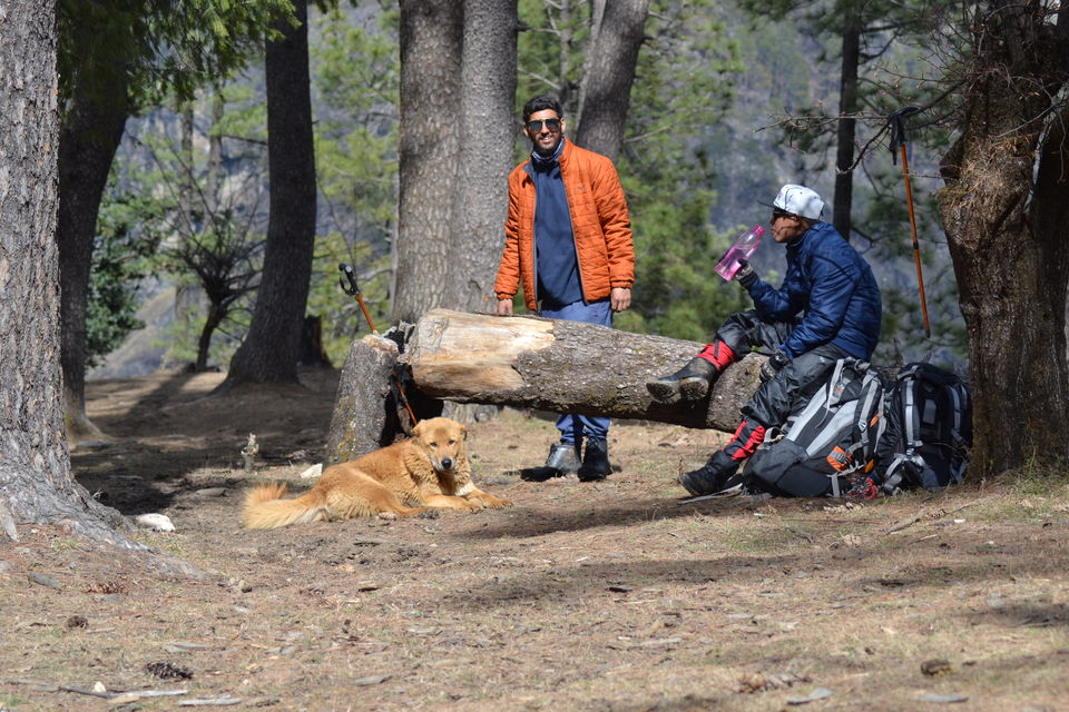 Photo of Hike to kedarkantha top - Winter trek #2017 by Vikas Vashisht