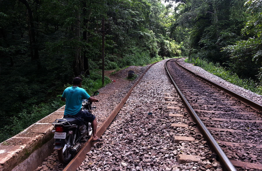 Photo of My journey to Magical Dudhsagar Waterfall. by Selje Mehta