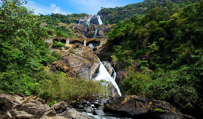 Photo of My journey to Magical Dudhsagar Waterfall. 1/1 by Selje Mehta