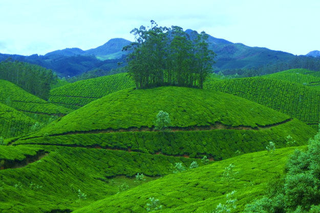 Photo of 10 Most Romantic Places in India for Couples 2/10 by Kalyan