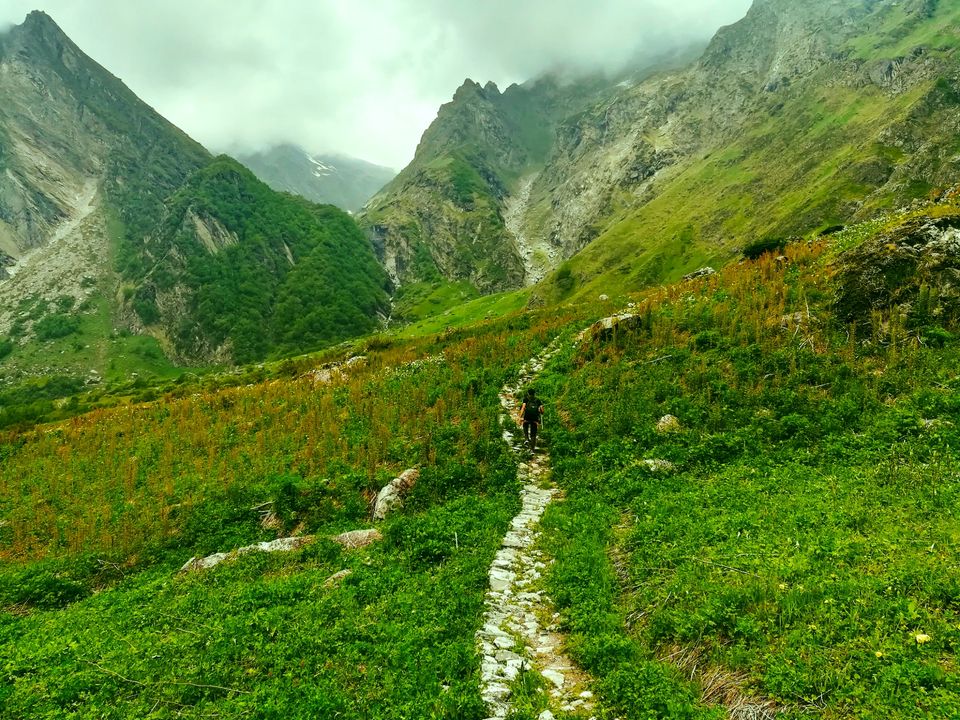 Photo of Himalayas by Arun Pratap Singh