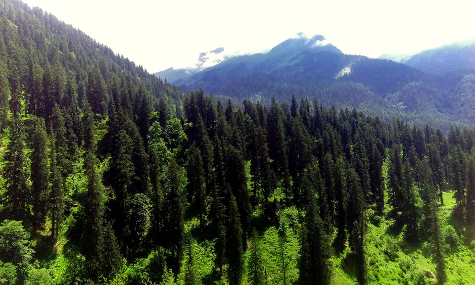 Photo of Himalayas by Arun Pratap Singh