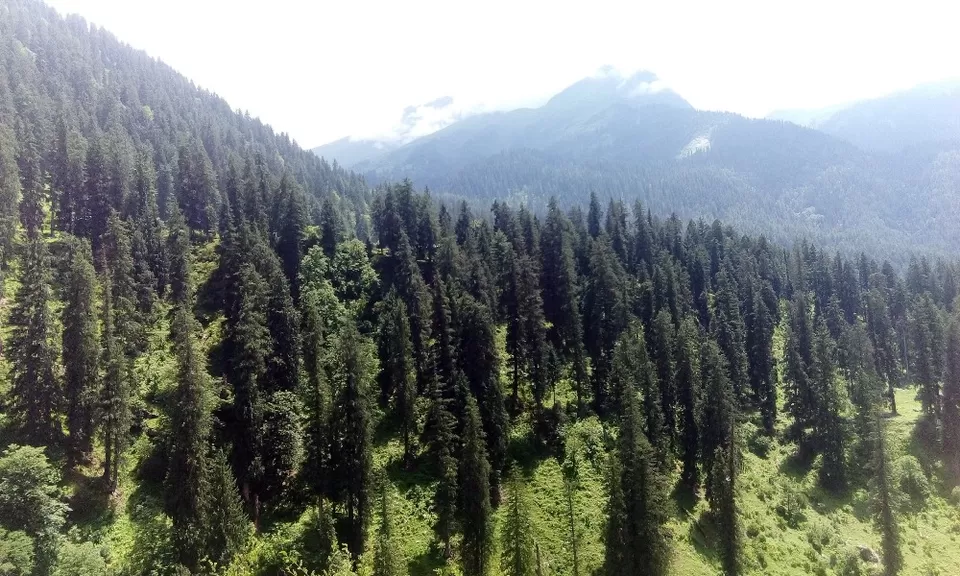 Photo of Kheerganga - Sunshine Himalayan Camp, Sosan, Himachal Pradesh, India by Arun Pratap Singh