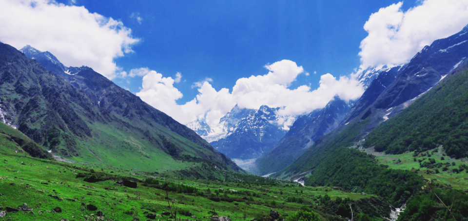 Photo of A walk in the mighty meadows of the Himalayan trail (Ch-1) by Arun Pratap Singh