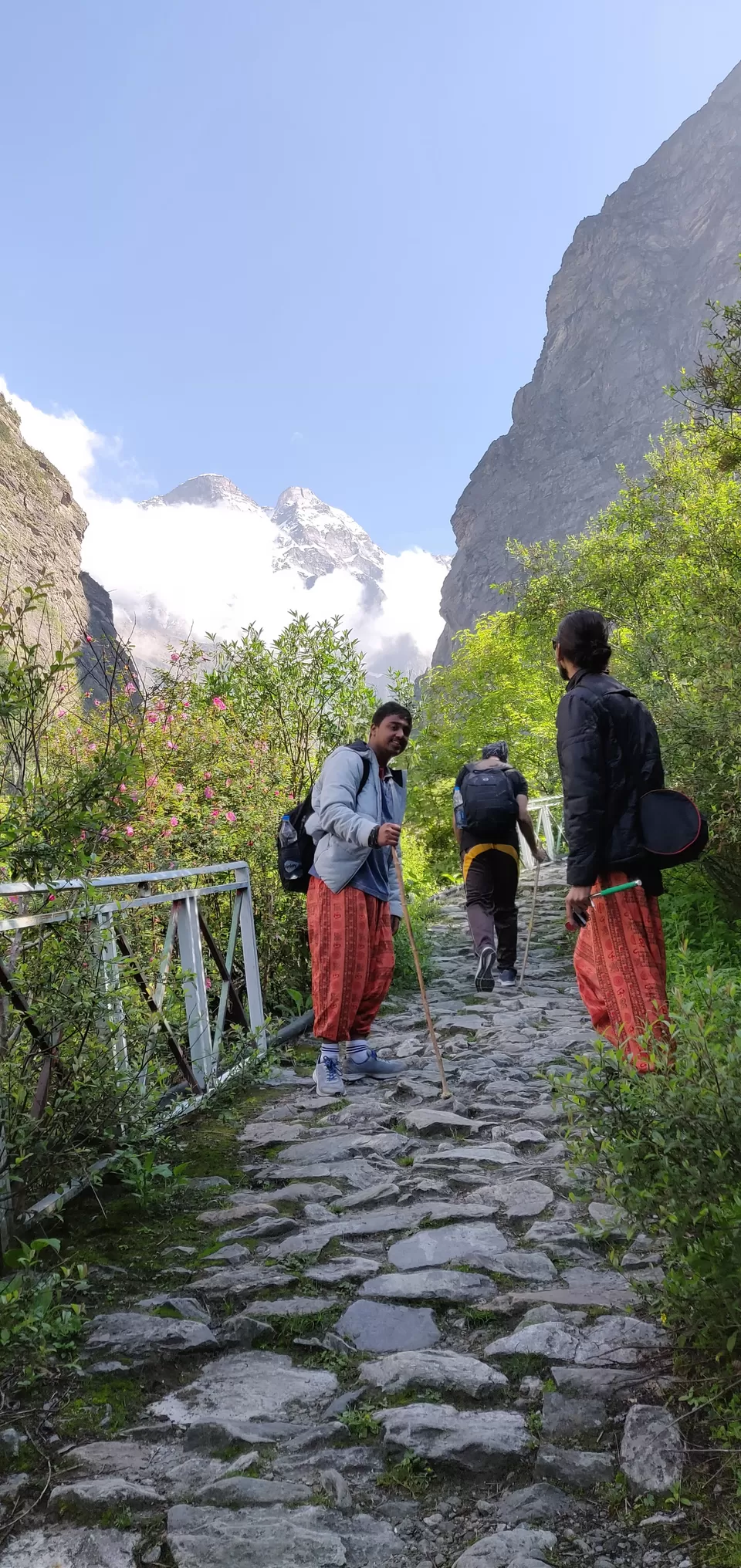 Photo of Valley of flowers National park, Ghangaria, Uttarakhand, India by Arun Pratap Singh