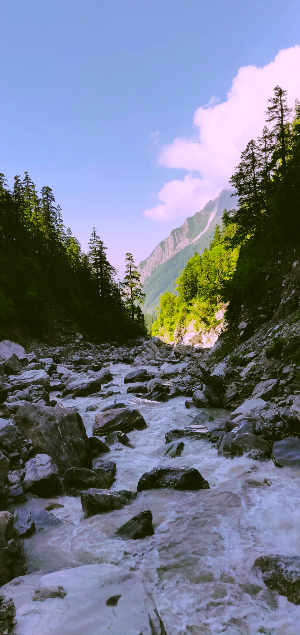 Photo of A walk in the mighty meadows of the Himalayan trail (Ch-2) by Arun Pratap Singh