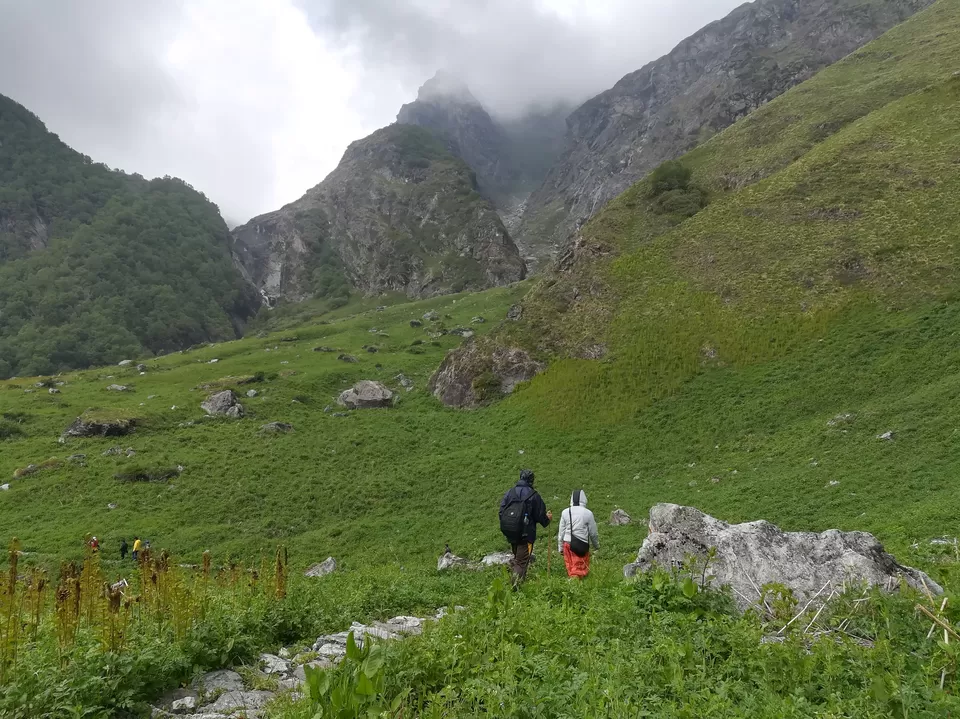 Photo of A walk in the mighty meadows of the Himalayan trail (Ch-2) by Arun Pratap Singh