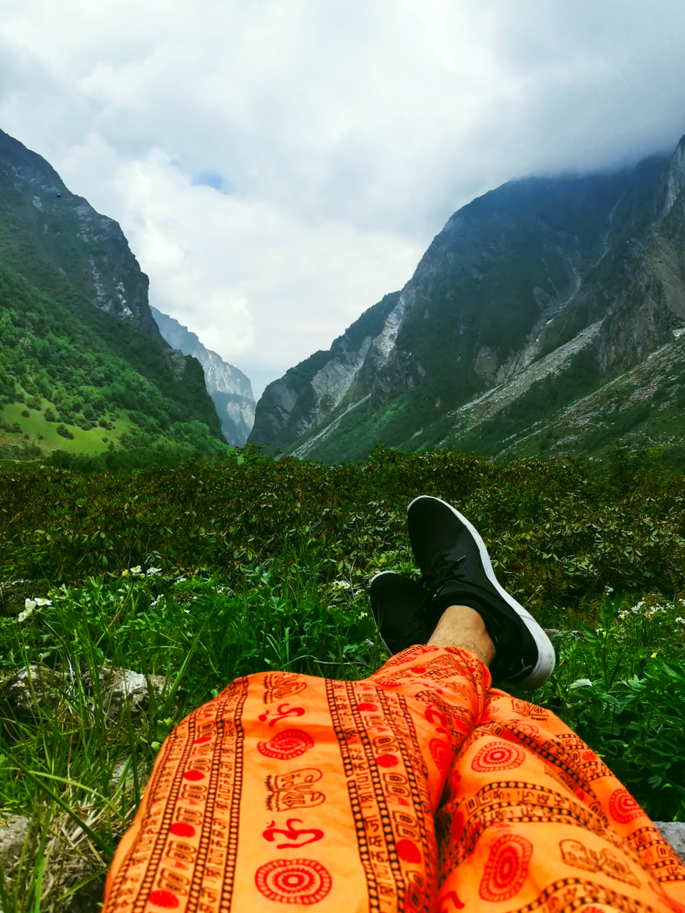 Photo of A walk in the mighty meadows of the Himalayan trail (Ch-2) by Arun Pratap Singh