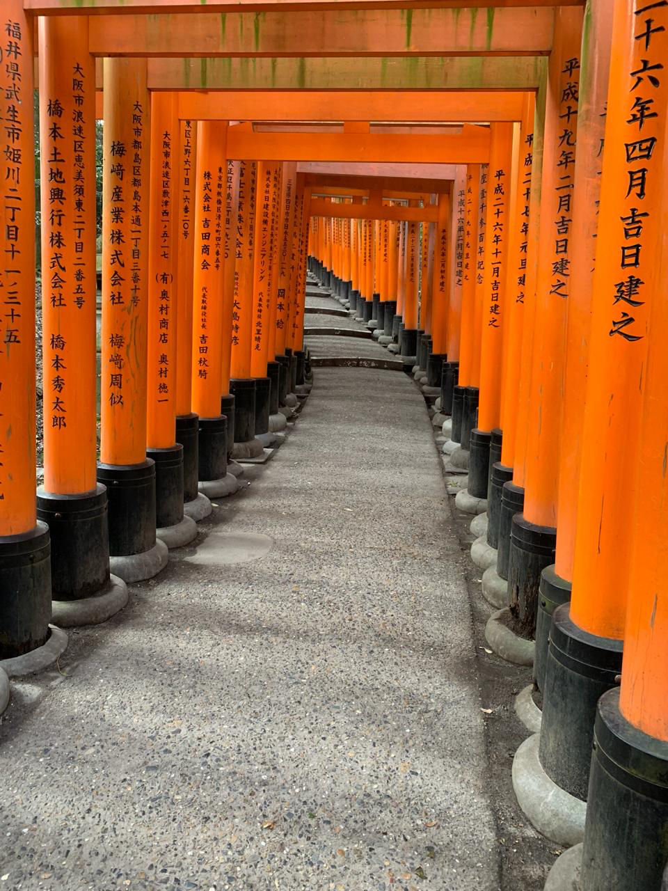 Photo of Fushimi Inari Taisha, 68 Fukakusa Yabunouchicho, Fushimi-ku, Kyoto, Kyoto Prefecture, Japan by Mikhil Sonavaria