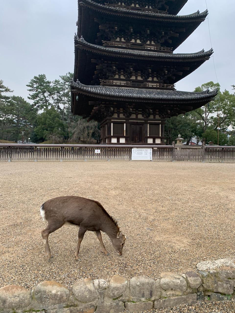 Photo of Nara Prefecture, Japan by Mikhil Sonavaria