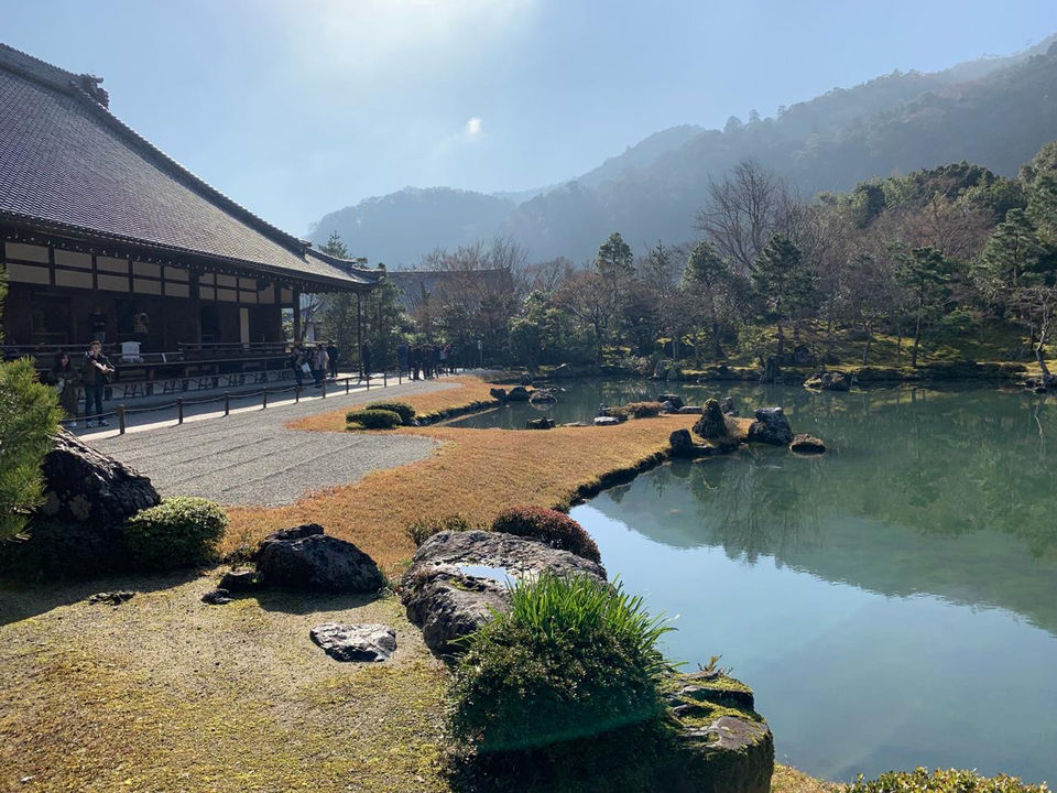 Photo of Arashiyama Bamboo Grove, Sagatenryuji Susukinobabacho, Ukyō-ku, Kyoto, Kyoto Prefecture, Japan by Mikhil Sonavaria
