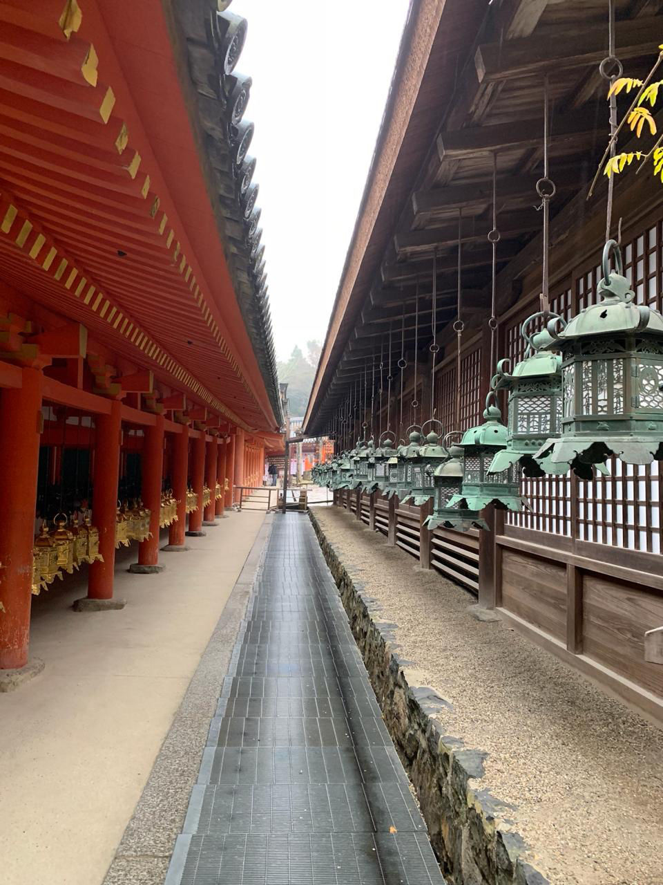 Photo of Nara Prefecture, Japan by Mikhil Sonavaria