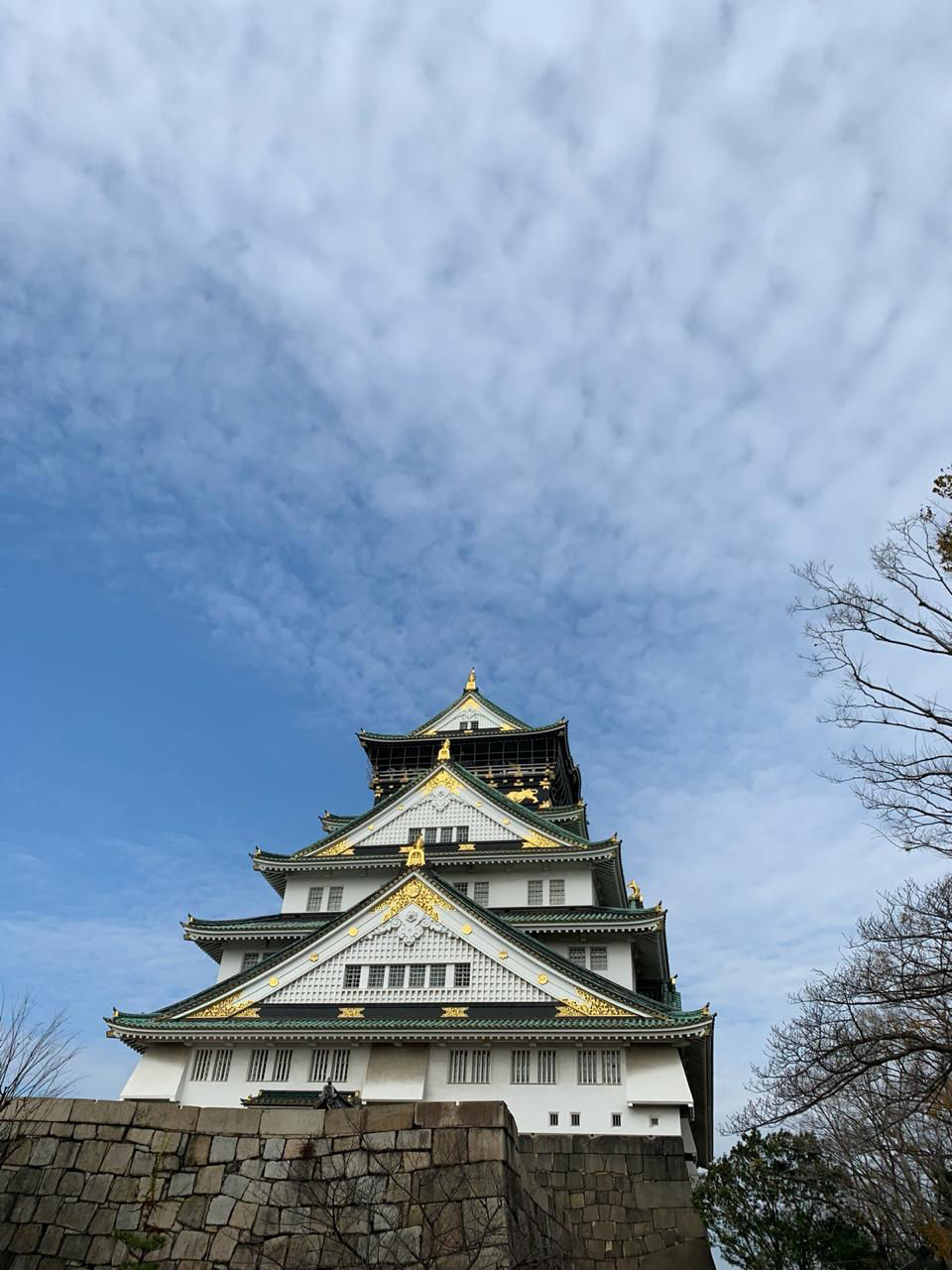 Photo of Osaka, Osaka Prefecture, Japan by Mikhil Sonavaria