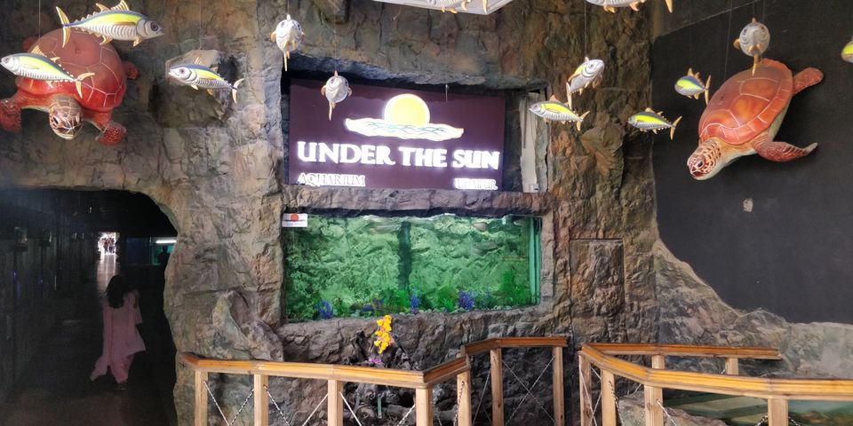 Photo of UDAIPUR : UNDER THE SUN FISH AQUARIUM by Rohan Gokhale (RG)