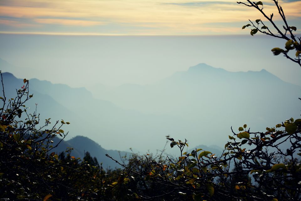 Photo of A little Hamlet for solitude Lover- Vattakanal by Ashish Khare