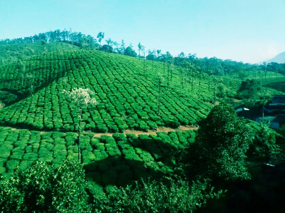 Photo of Valparai An odd Hill Station, A great deal to offer by Ashish Khare