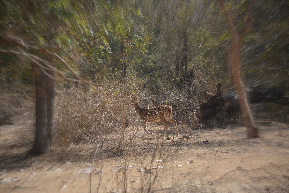 Photo of This Is Why KHAJURAHO is So Much More Than Just Temples 21/37 by Ashish Khare
