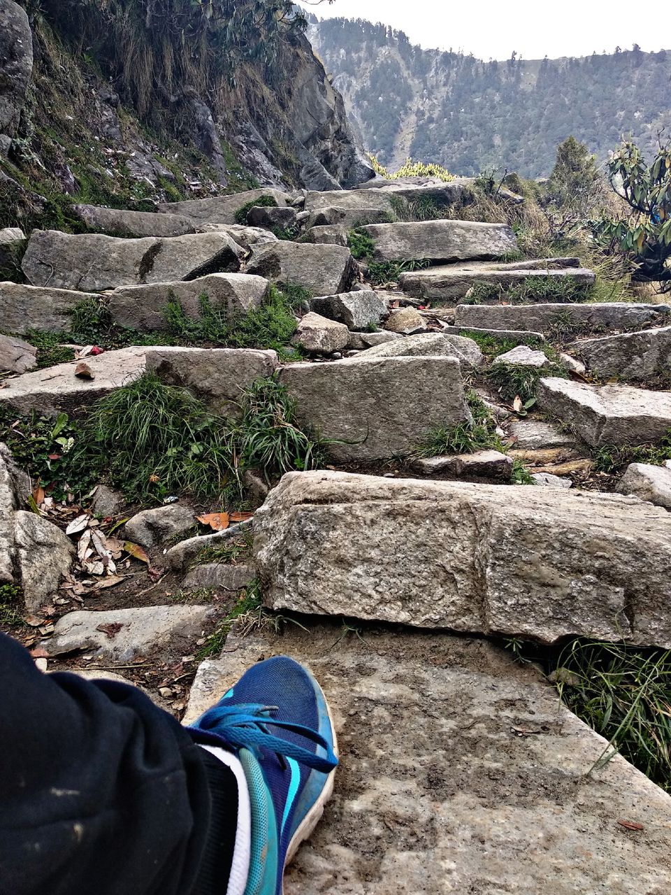 Photo of Camping is the Answer, Who Cares what the Question is? Triund Peak! by Ashish Khare