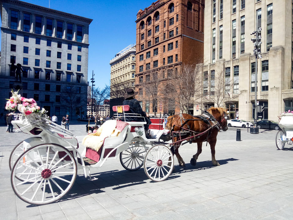 Photo of Old Montreal, Ville-Marie, Montreal, QC, Canada by Ganga Shinghal