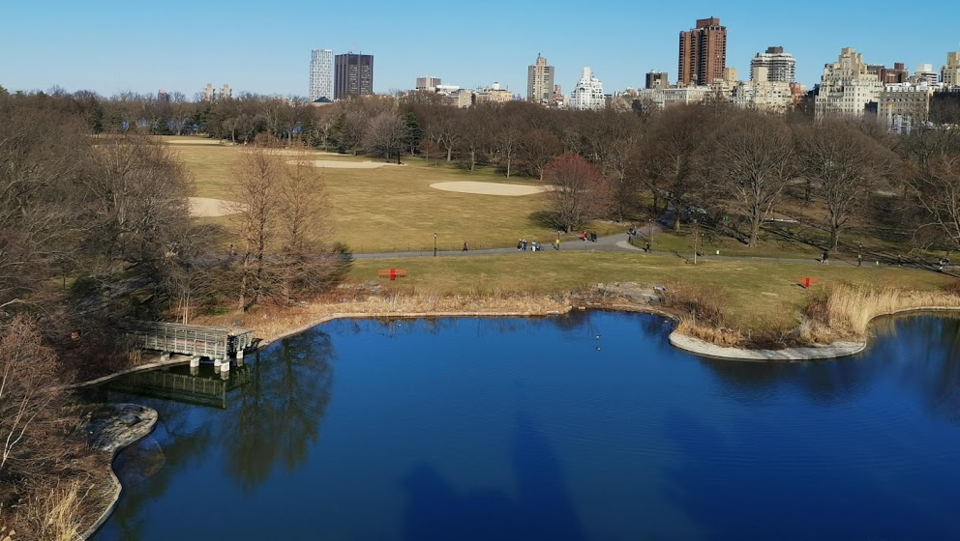 Photo of Central Park, New York, NY, USA by Ganga Shinghal