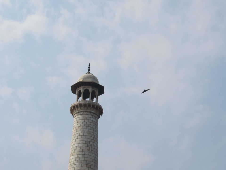 Photo of DELHI TO AGRA : THE UNPLANNED WINTER TRIP 16/16 by Aashish Aanand