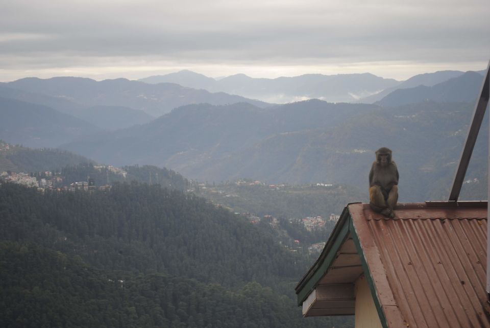Photo of DELHI TO SHIMLA : THE WINTER TRIP 3/13 by Aashish Aanand