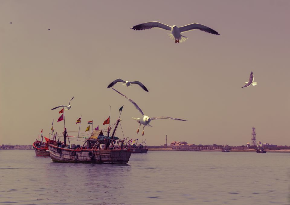 Photo of Beyt Dwarka, Gujarat, India by Shikha Shukla
