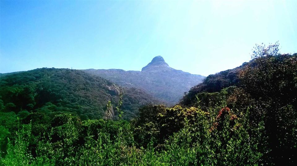 Photo of On the top of the world @Adam's Peak, Sri Lanka 2/7 by Bee The Musafir