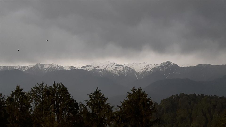 Photo of Rulpuli - an off-beat gem of Himachal Pradesh 19/32 by Bee The Musafir