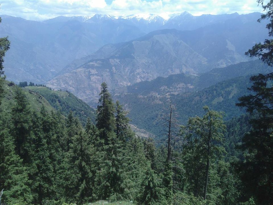 Photo of Rulpuli - an off-beat gem of Himachal Pradesh 28/32 by Bee The Musafir