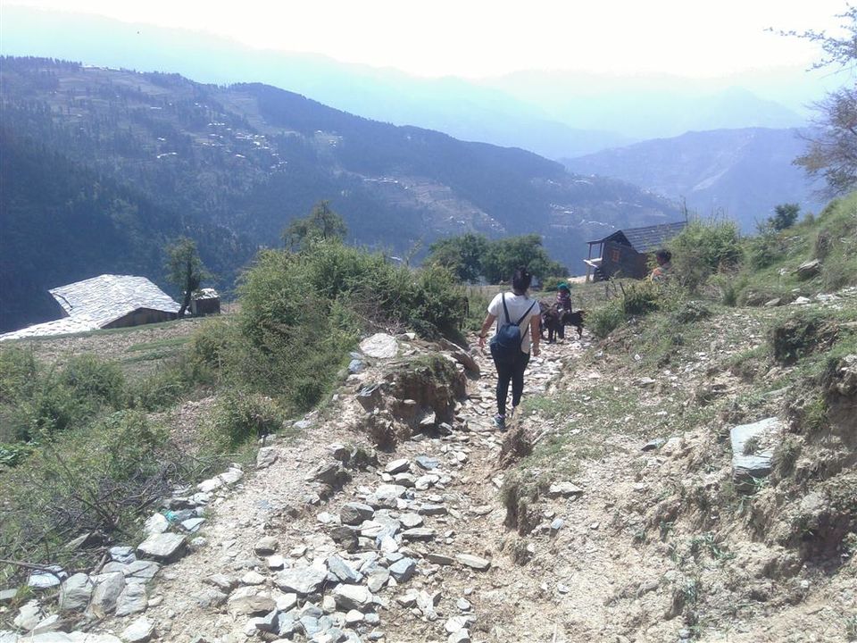 Photo of Rulpuli - an off-beat gem of Himachal Pradesh 32/32 by Bee The Musafir