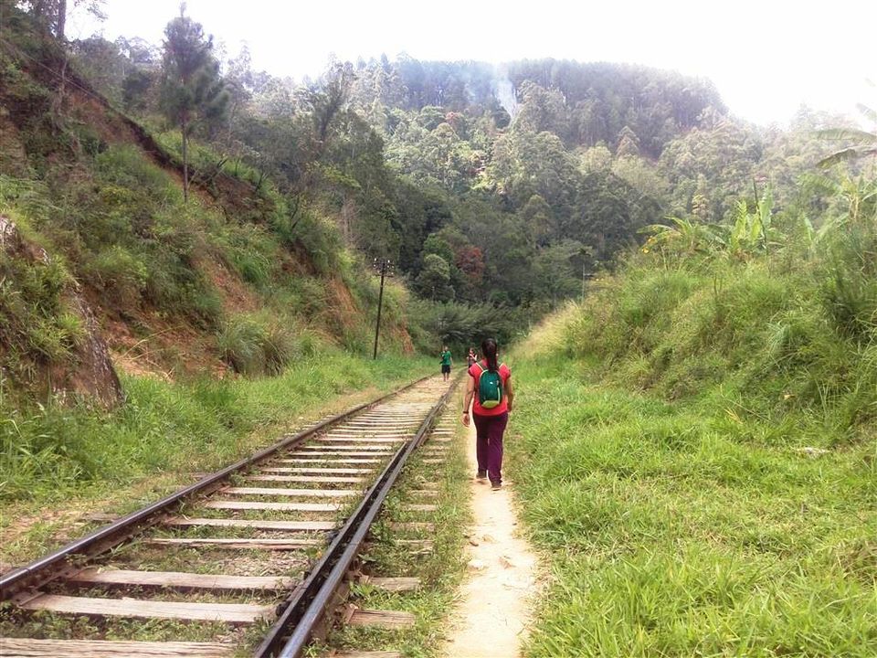 Photo of Ella, Sri Lanka - adventure and peace guaranteed! 9/20 by Bee The Musafir