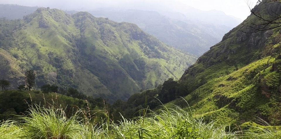 Photo of Ella, Sri Lanka - adventure and peace guaranteed! 2/20 by Bee The Musafir