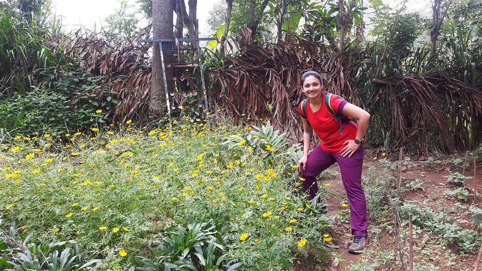 Photo of Ella, Sri Lanka - adventure and peace guaranteed! 8/20 by Bee The Musafir