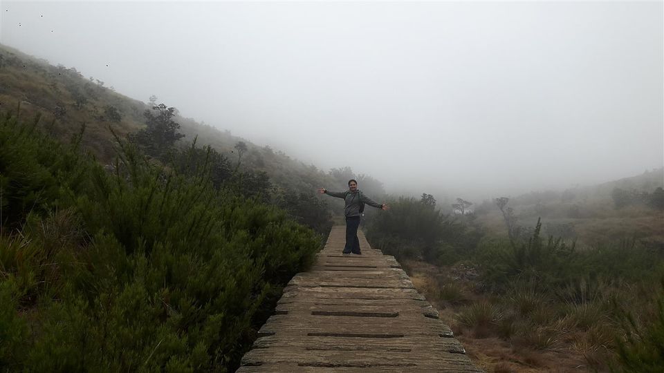 Photo of A walk through Horton Plains, Sri Lanka 8/25 by Bee The Musafir
