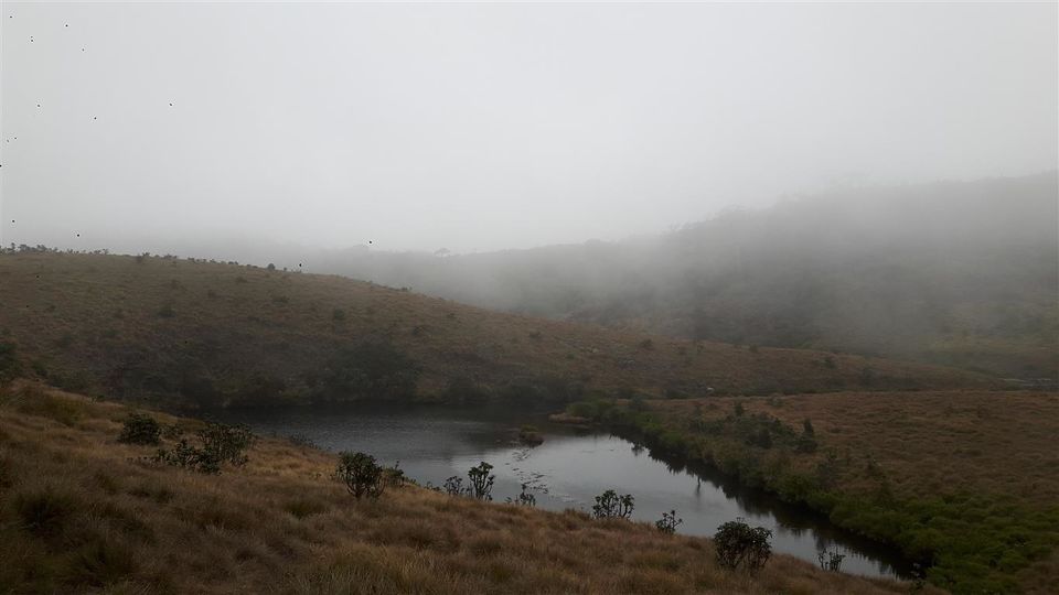 Photo of A walk through Horton Plains, Sri Lanka 10/25 by Bee The Musafir