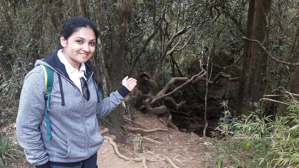Photo of A walk through Horton Plains, Sri Lanka 13/25 by Bee The Musafir